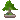 :bonsai: